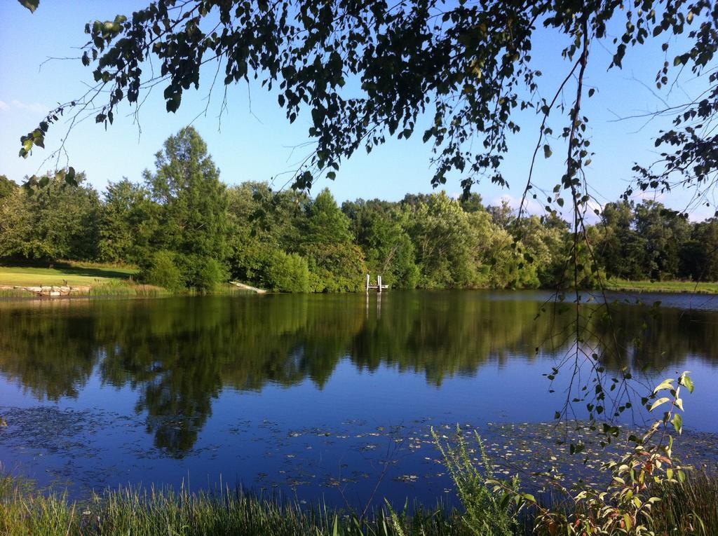 فندق Cedar Creek New Haven المظهر الخارجي الصورة